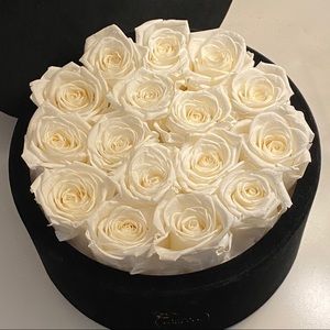 Venus et Fleur Dupe Eternity Roses